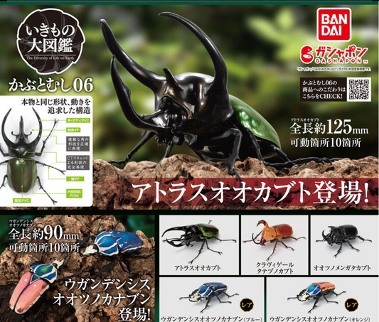 いきもの大図鑑 かぶとむし 06 [全5種セット]