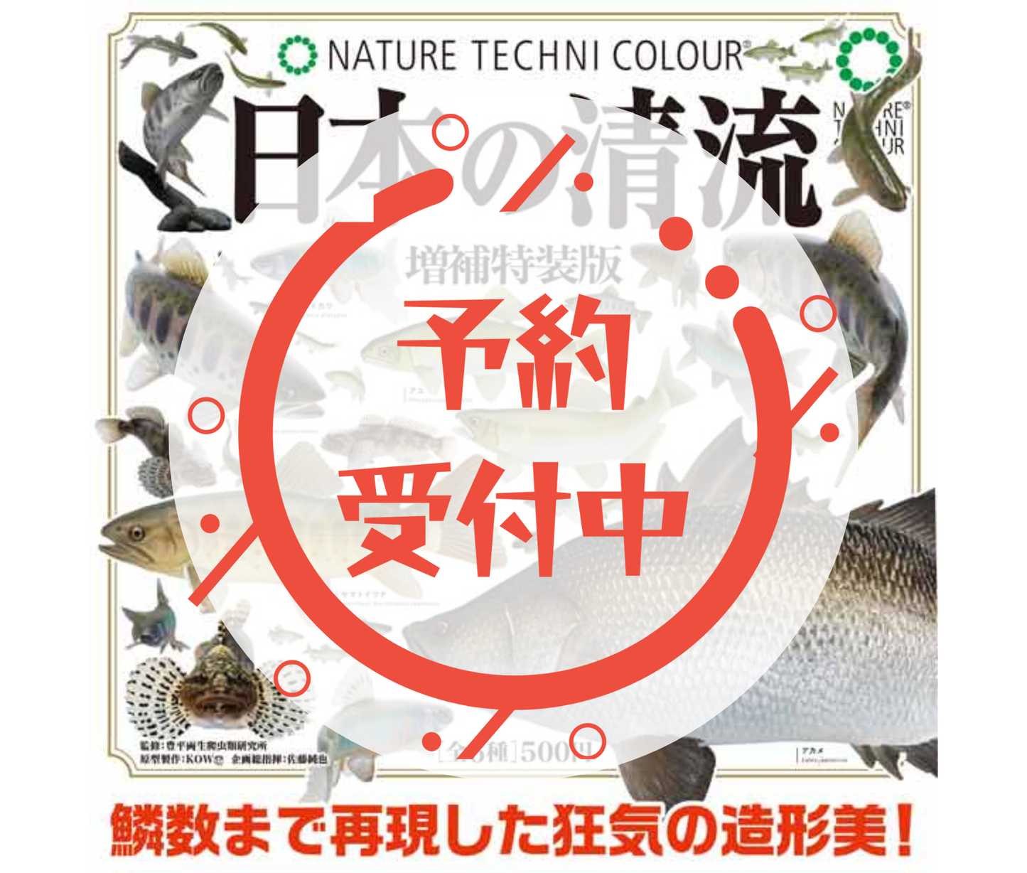 [Jun Pre-order] NTC Japanese Clear Streams Expanded Special Edition [Complete Set of 6]