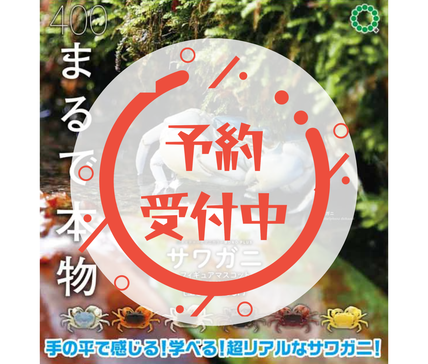 [Jun Pre-order] NTC MONO+ Sawagani Figure Mascot [Complete Set of 6]
